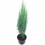 Можжевельник скальный Блю Эрроу (Juniperus Blue Arrow 70-80см)